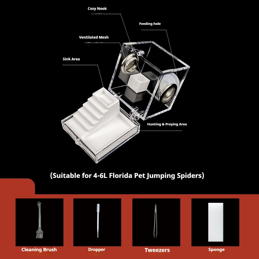 Transparent jumping spider enclosure kit with ventilation, feeding hole, cozy nook, and cleaning tools.