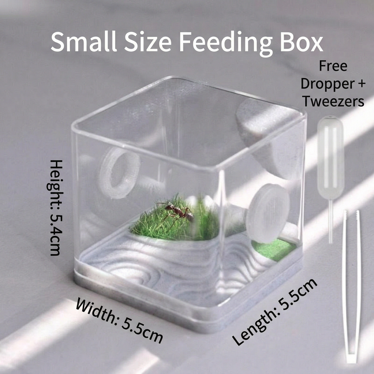 Small acrylic feeding box for exotic pets, 5.5x5.5x5.4cm, includes dropper and tweezers.