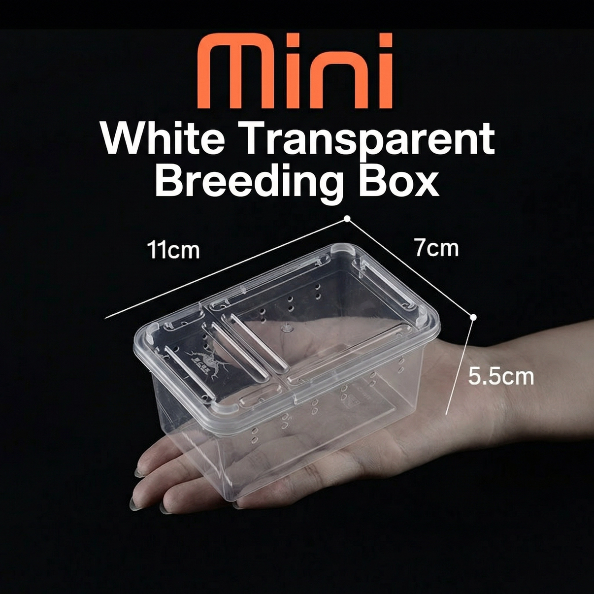Mini transparent breeding box for reptiles or spiders, 11x7x5.5cm, shown on a hand.