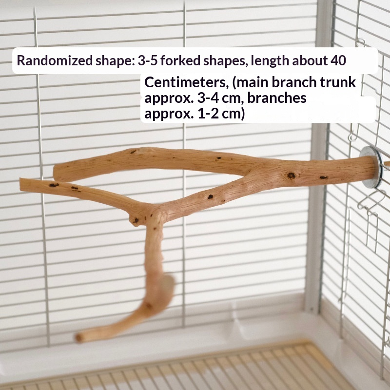 Natural wooden bird perch with forked branches attached to cage, ideal for exotic pets