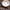 White ceramic anti-escape feeding dish for reptiles, 10x3cm, on wood background
