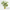 Artificial variegated Schefflera leaf plant decor with green and white leaves for terrariums