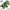 Large artificial Philodendron Birkin plant with green and white leaves, 33cm by 21cm, terrarium decor.